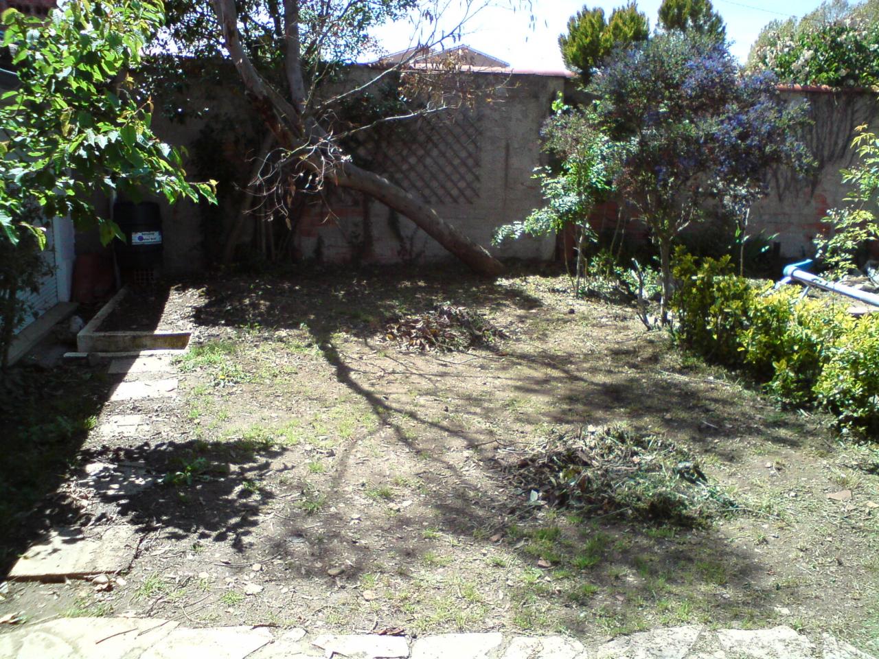DSC00902