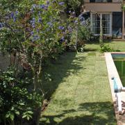 DSCN0331