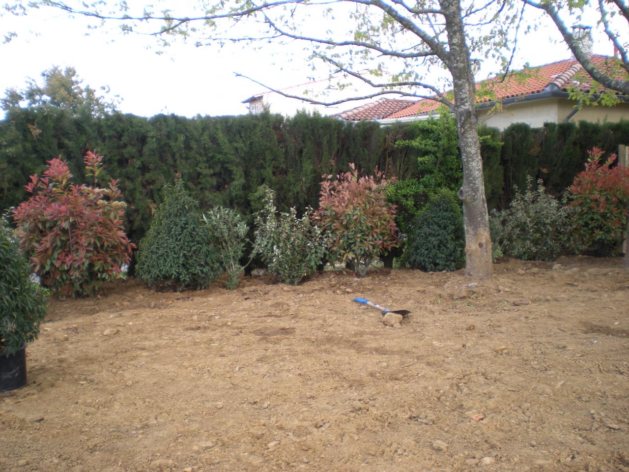 DSCN6616