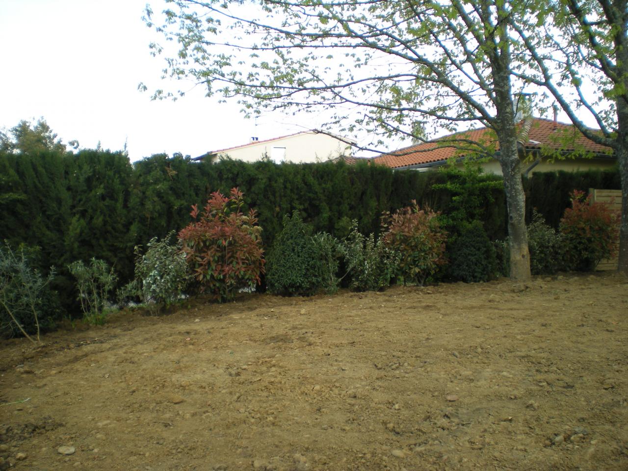 DSCN6617