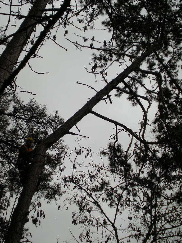 DSCN9255