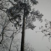 DSCN9271