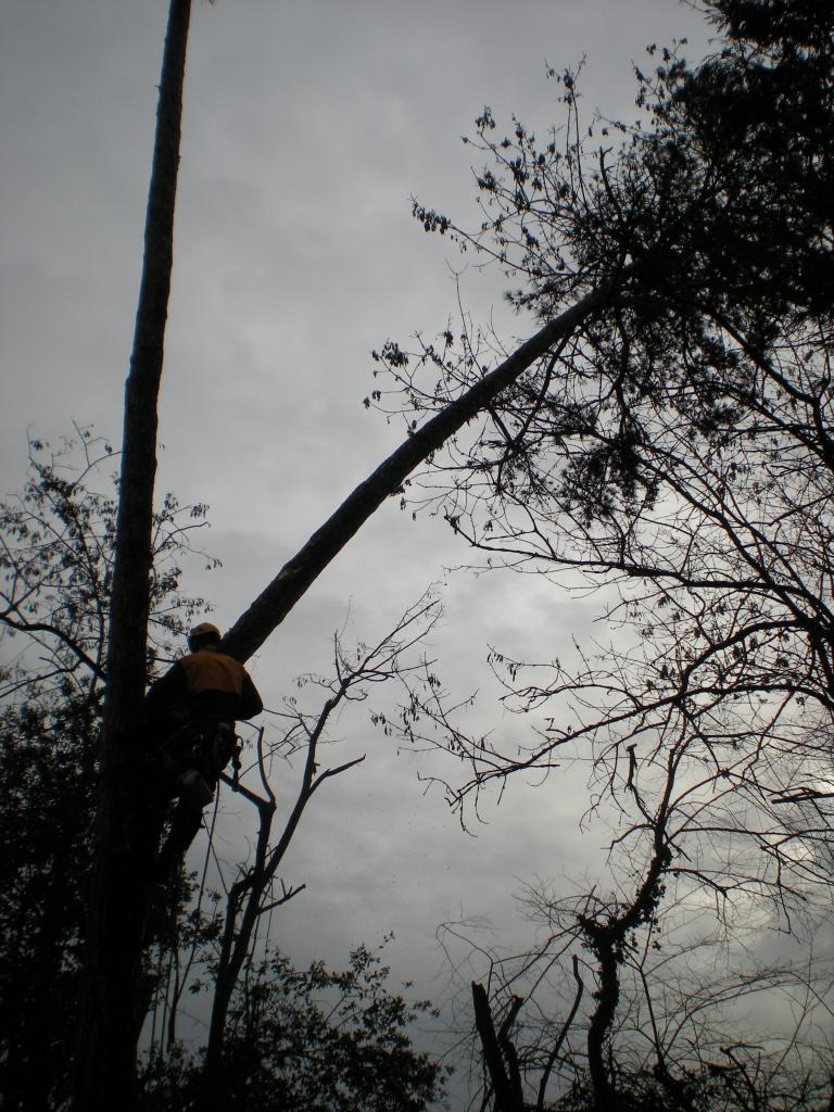 DSCN9273