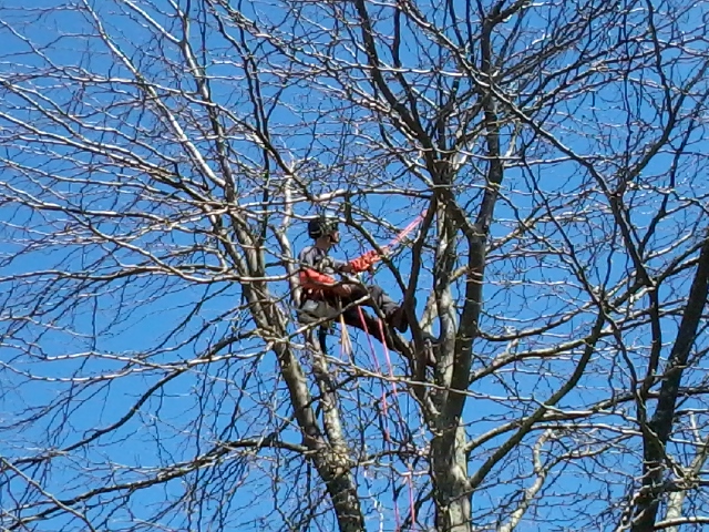 Photo0121