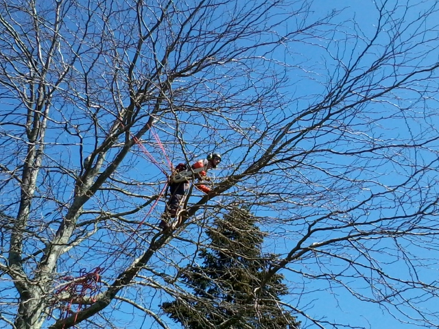 Photo0127
