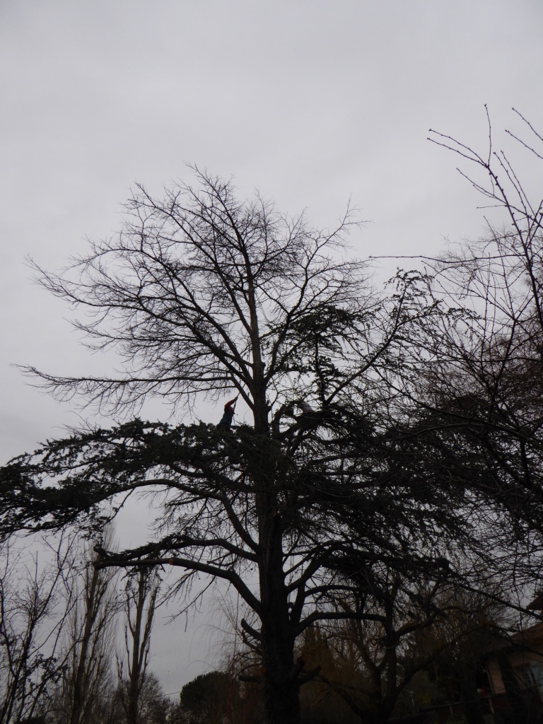 thumb_P1000240_1024