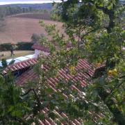 WP_20151103_004