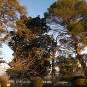 WP_20151124_002
