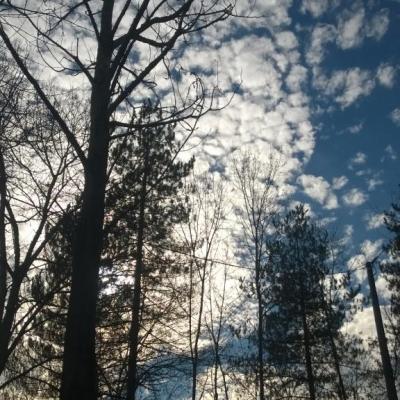 Nos plus belles vues