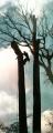 DSC002511.jpg