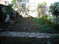 dsc00895.jpg